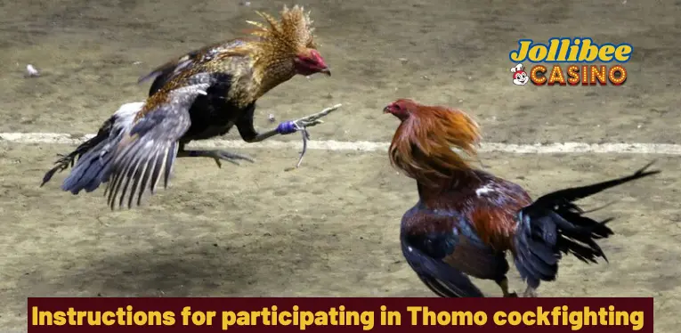 Instructions for participating in Thomo cockfighting at Jollibee 777 