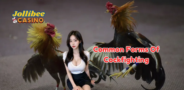 Common Forms of Cockfighting