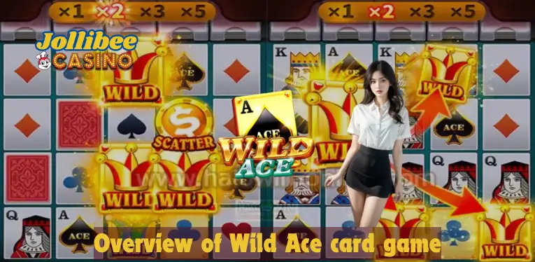 Overview of Wild Ace card game