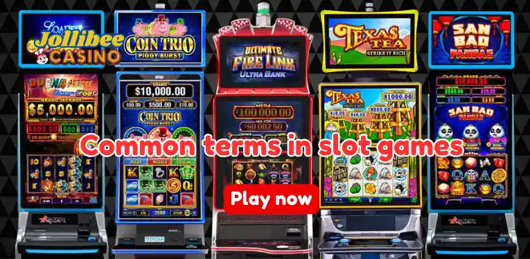 Common terms in slot games