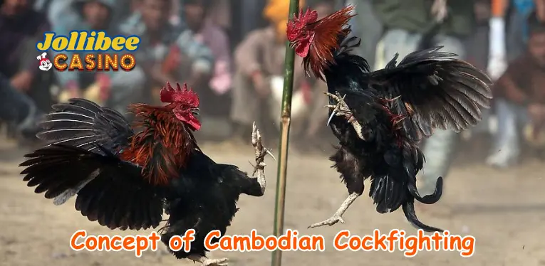 Concept of Cambodian cockfighting