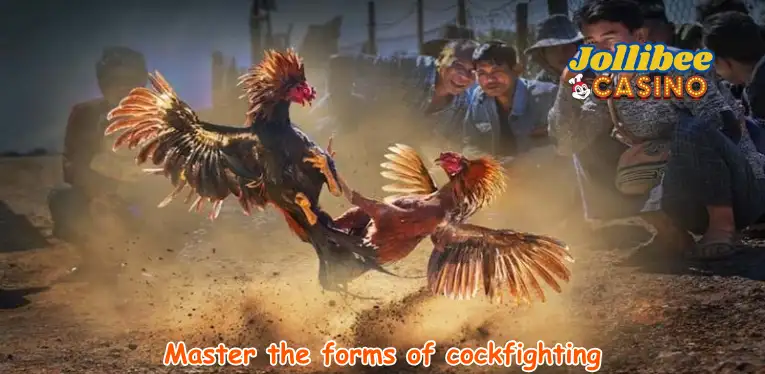 Master the forms of cockfighting